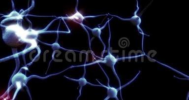 具有红色电脉冲活动的真实神经元突触网络
